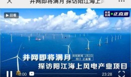 阳江今日爆料新闻,今日爆料新闻聚焦热点事件